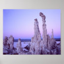 Search for reserved posters White