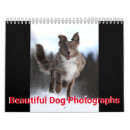 Search for hound dog calendars Cute