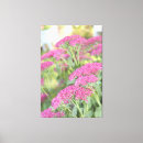 Search for fuschia art Floral
