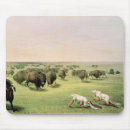 Search for indian buffalo mousepads Native