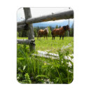 Recherche de carpathien Ukrainien