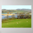 Search for flooding posters Water