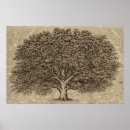 Search for oak tree posters Beautiful