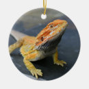 Search for bearded dragon home decor Pets