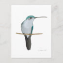 Search for juvenile postcards Bird