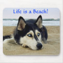 Search for dog men electronics Husky