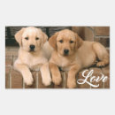 Recherche de yellow dog stickers Chiot