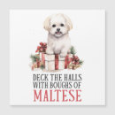 Search for maltese dog christmas cards Funny