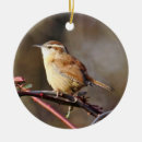 Search for wren ornaments Wildlife
