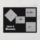 Recherche de lot cartes postales Oiseaux