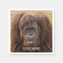 Search for pongo Wildlife