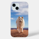 Search for cloud electronics Dog