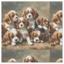 Search for spaniel fabric Puppy