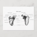 Search for bones stamps postcards Skeleton
