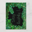Recherche de ivy cartes postales Jardin