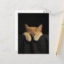 Recherche de lit de chat cartes postales Félin