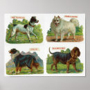 Search for breed posters Vintage