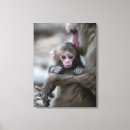 Search for monkey painting canvas prints Primate