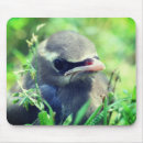 Recherche de cire tapis souris Oiseau