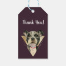 Recherche de pitbulls cadeau emballages Pour tous