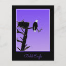 Search for eagle on postcards Portrait