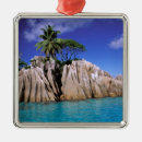 Recherche de seychelles ornements Palmier