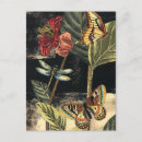 Recherche de dark cartes postales Fleurs