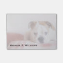 Recherche de taureau photographie Mignon