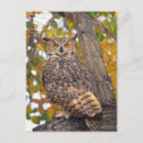 Recherche de duc cartes postales Animal