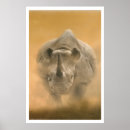 Recherche de mis en danger posters L'afrique