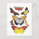 Search for transparent postcards Butterflies