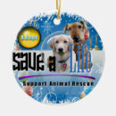 Search for animal rescue ornaments Cats