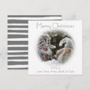 Search for funny gnome merry christmas cards Cute