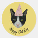 Search for party cats stickers Happy birthday