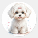 Search for maltese stickers Puppy