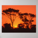 Search for african sunrise art Tree
