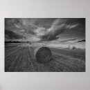 Search for northumberland posters United kingdom