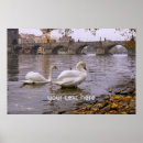 Search for stone bridge posters Water