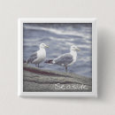 Search for seagulls buttons Ocean
