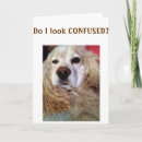 Search for a brother dog birthday birthday cards Photography
