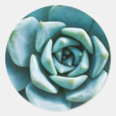 Search for seafoam stickers Green