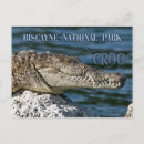 Search for species postcards Reptile