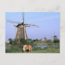 Search for windmill photography Kinderdijk