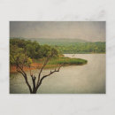 Recherche de arbre de cèdre cartes postales Lac