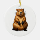 Search for rodent ornaments Cute