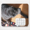 Recherche de shar pei tapis souris Chiens