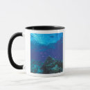 Search for great barrier reef mugs Coral