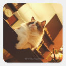 Search for tilt stickers Animal