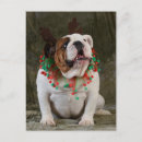 Recherche de noël anglais cartes postales Chien