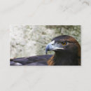Recherche de aigle cartes visite Animal